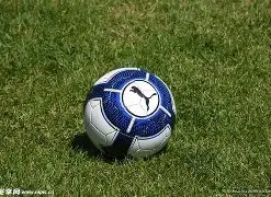 开云体育,安装,资讯,开云体育,开云体育官网,开云体育app,开云体育平台,KAIYUN,SPORTS,kaiyun登录入口