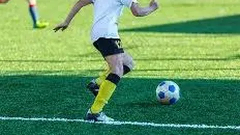 开云体育app安装 产品 111438 lhk