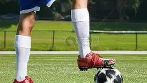 开云体育app安装 产品 092711 jwy